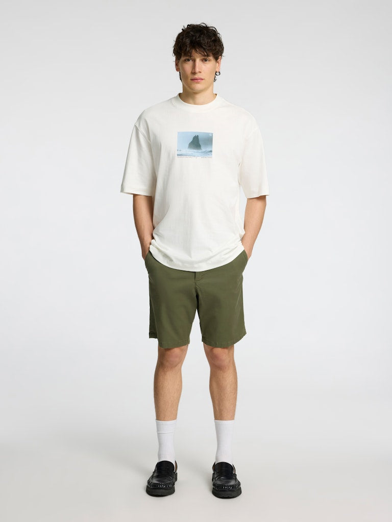 Selected Men Chino shorts